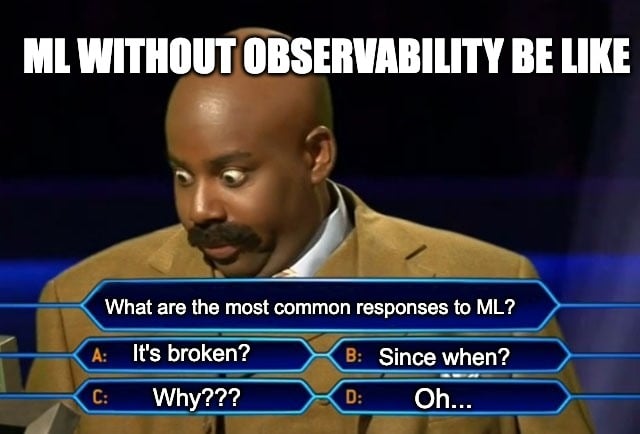 ML without observability be like